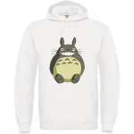 Sweat Totoro Assis