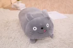 Peluche Coussin Totoro