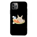 Coque Totoro 3 Formes Pastèque