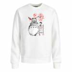 Pull Totoro et Mei