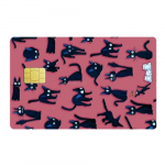 Sticker Carte Bancaire Kiki La Petite Sorcière Jiji Drôle